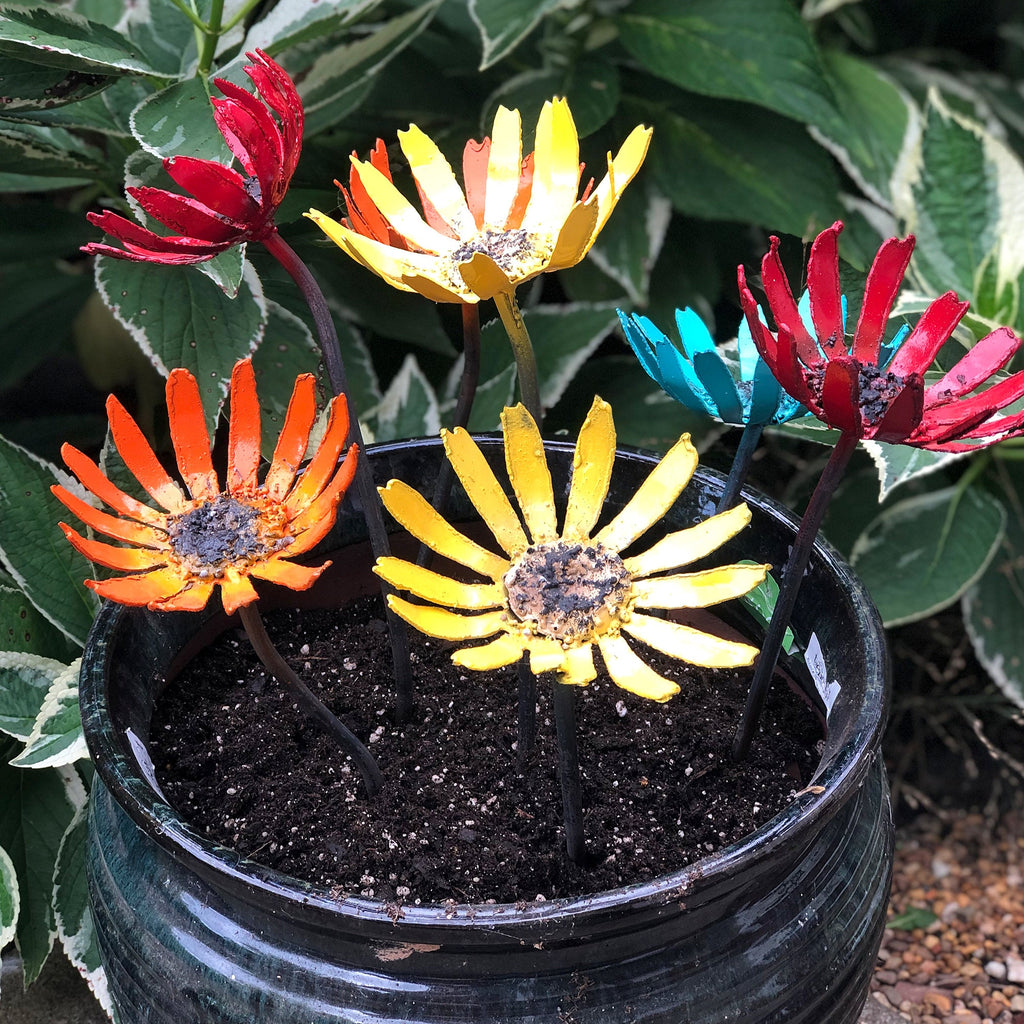 Metal Gerbera Garden Flowers: Colorful Steel Bloom Pot Insert