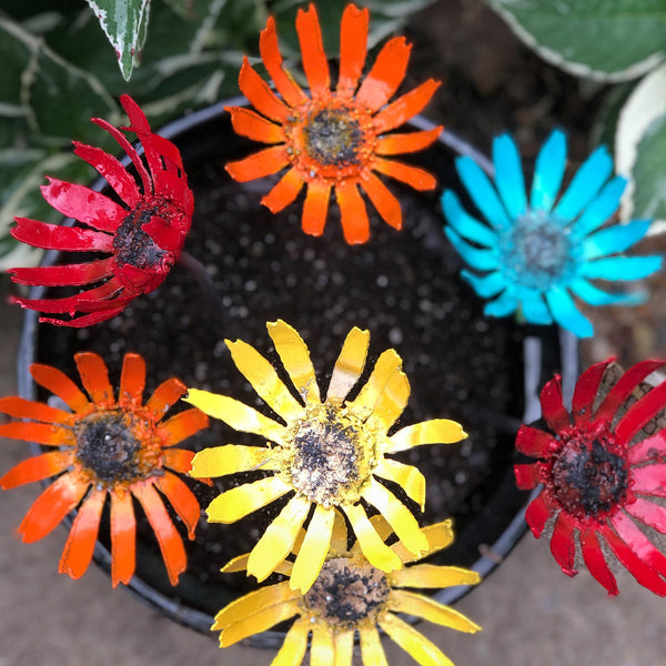 Metal Gerbera Garden Flowers: Colorful Steel Bloom Pot Insert