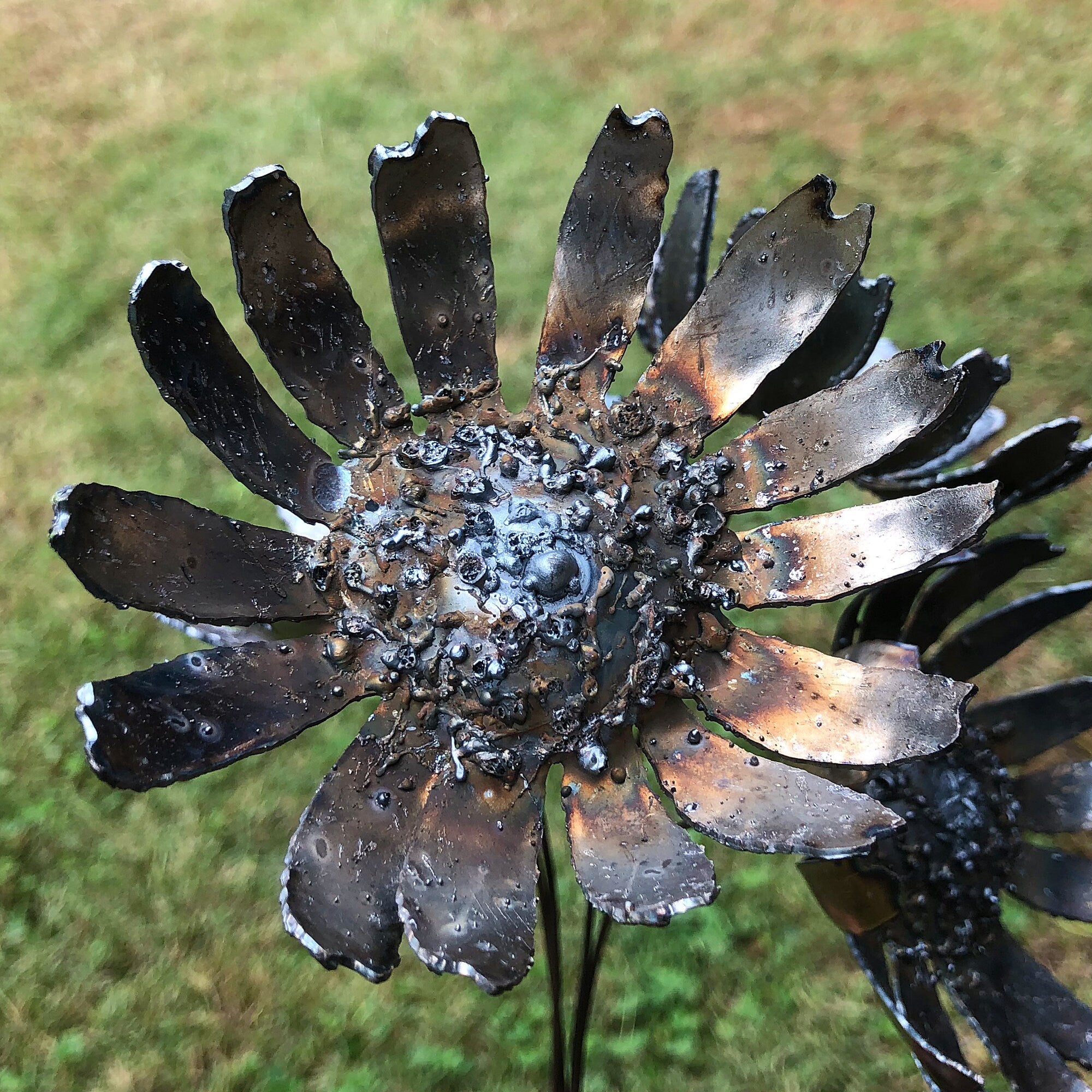 Handmade Raw Steel Gerbera Daisy Flowers: Industrial Home Decor, Set of 4