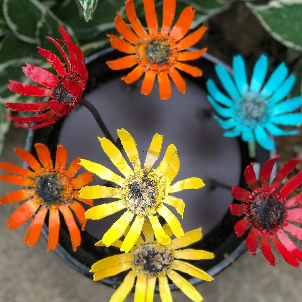 Metal Gerbera Garden Flowers: Colorful Steel Bloom Pot Insert