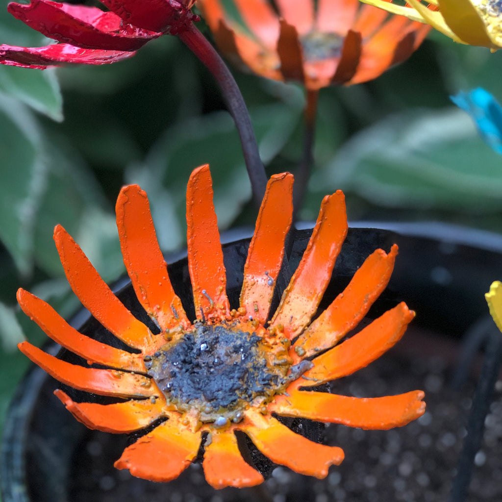 Metal Gerbera Garden Flowers: Colorful Steel Bloom Pot Insert