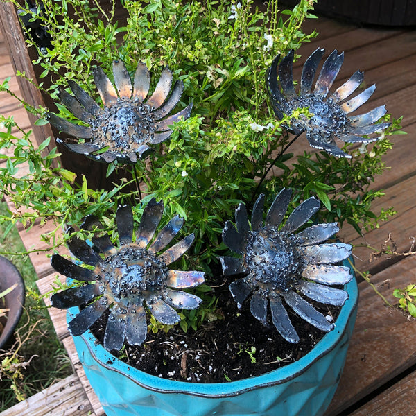 Handmade Raw Steel Gerbera Daisy Flowers: Industrial Home Decor, Set of 4