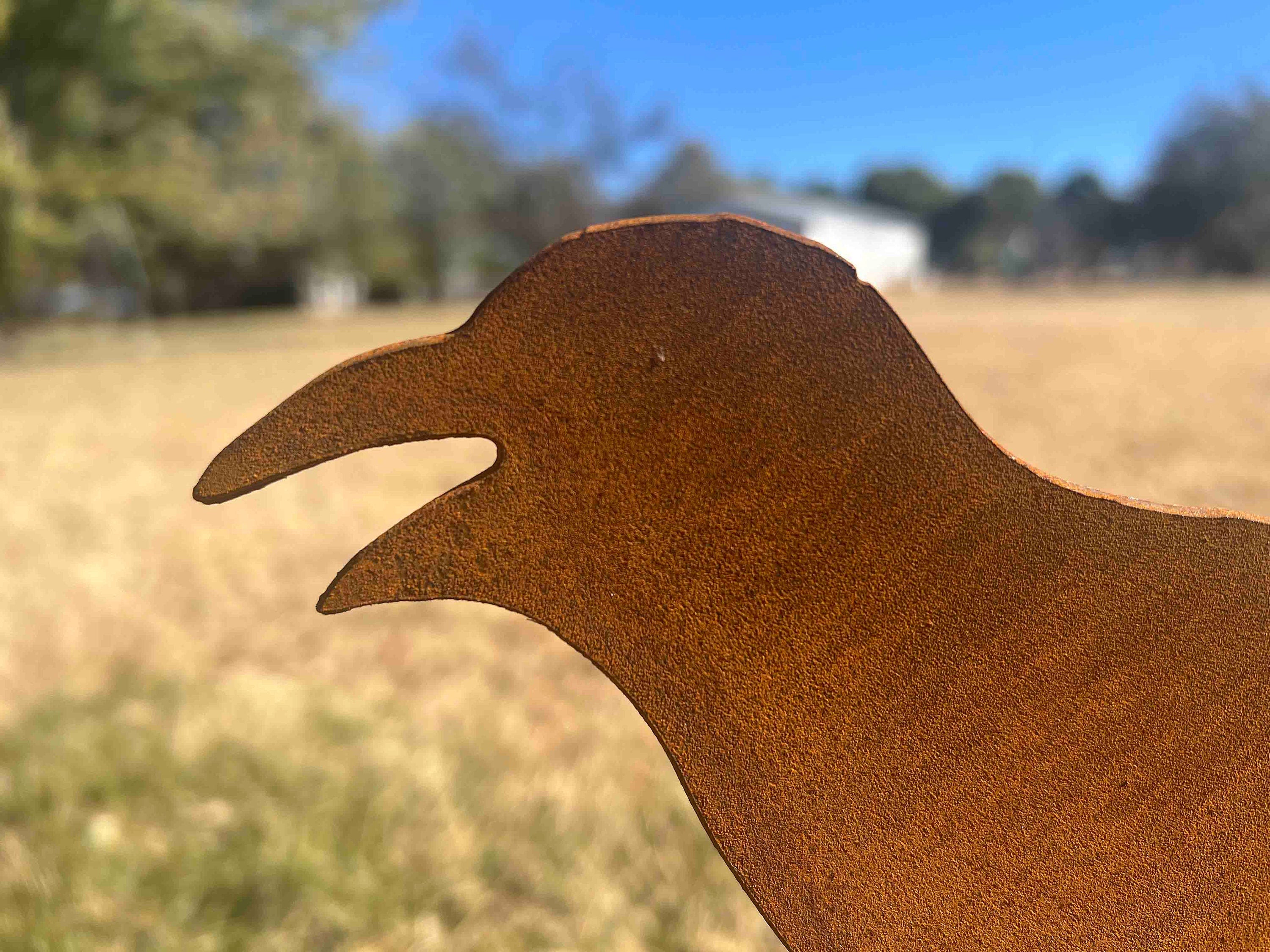 Rustic Metal Crow Garden Stake - Handmade Bird Art