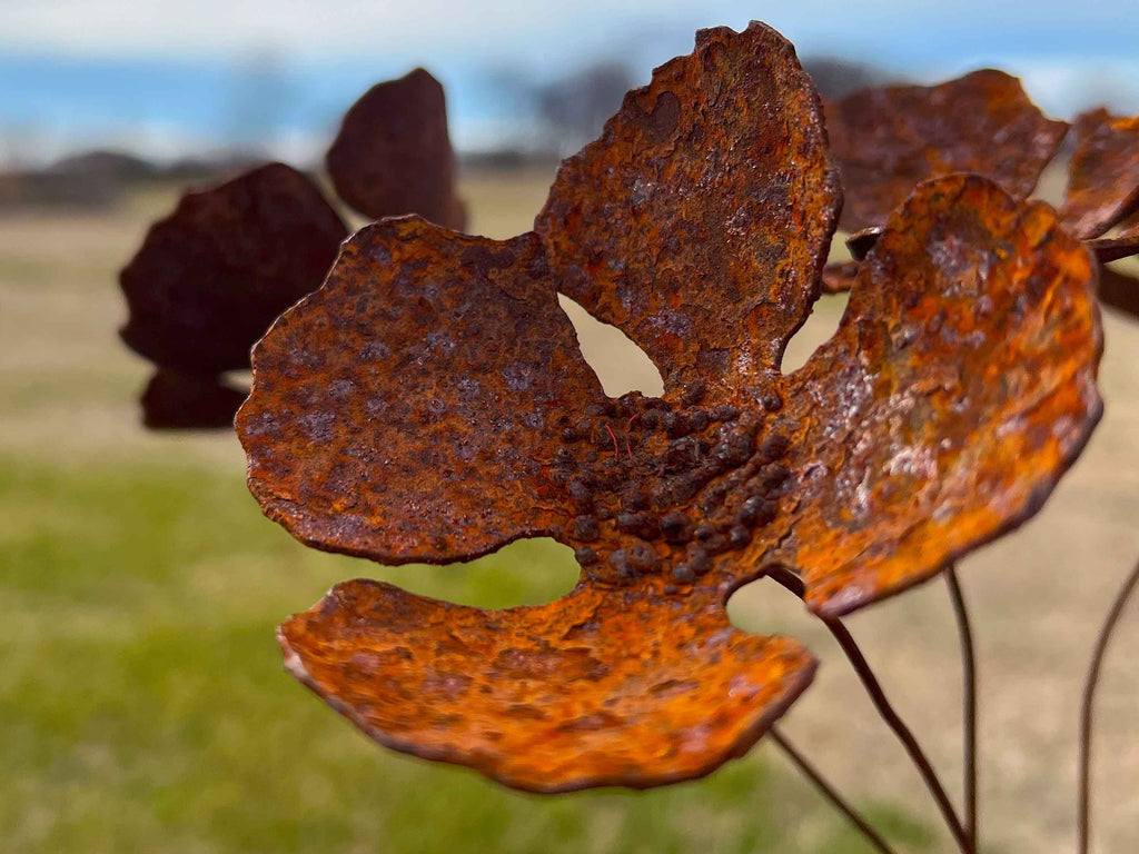 Rusty Iron Poppy Flowers (Set of 6) - Handmade Industrial Sculpture
