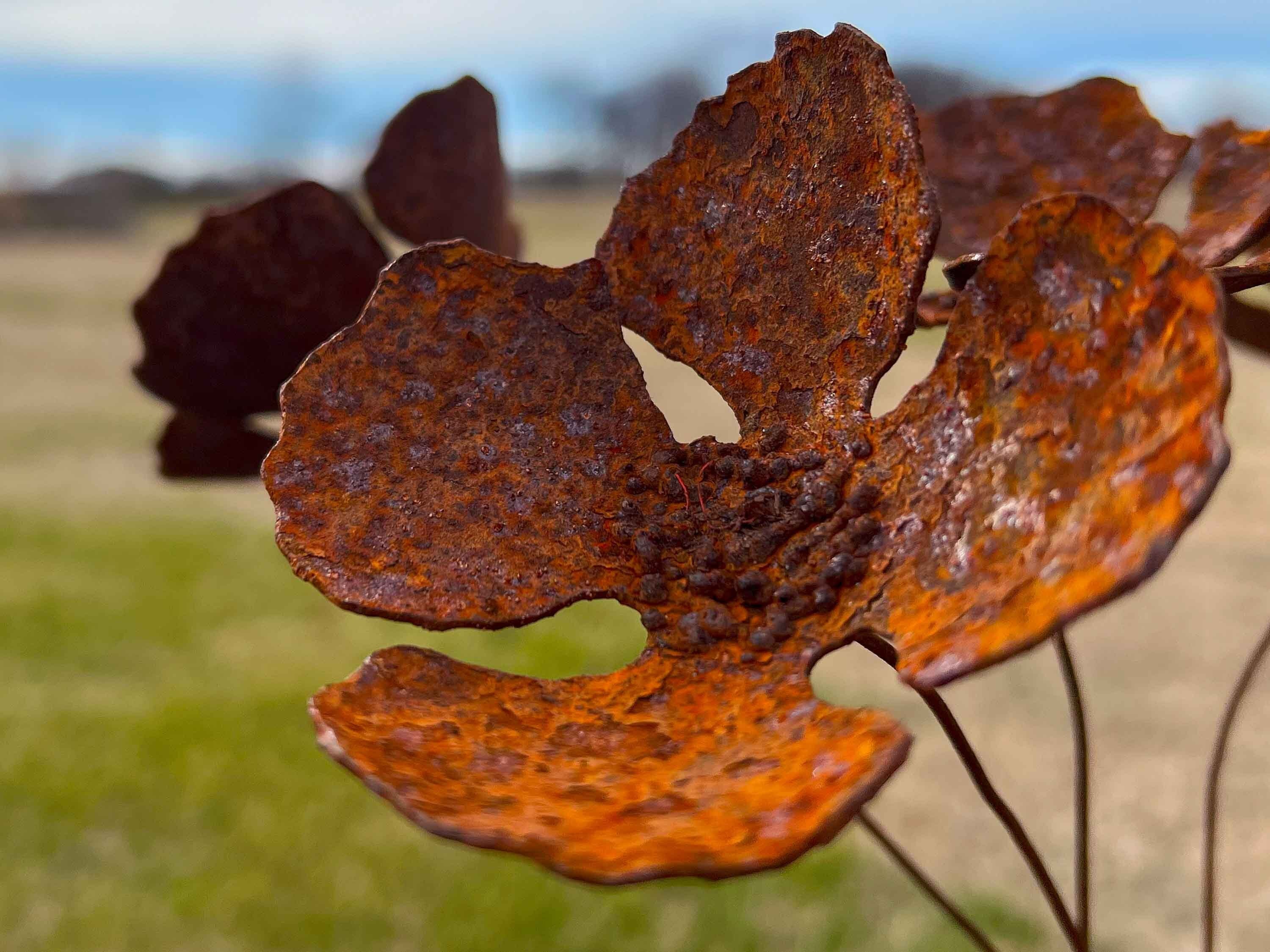 Rusty Iron Poppy Flowers (Set of 6) - Handmade Industrial Sculpture