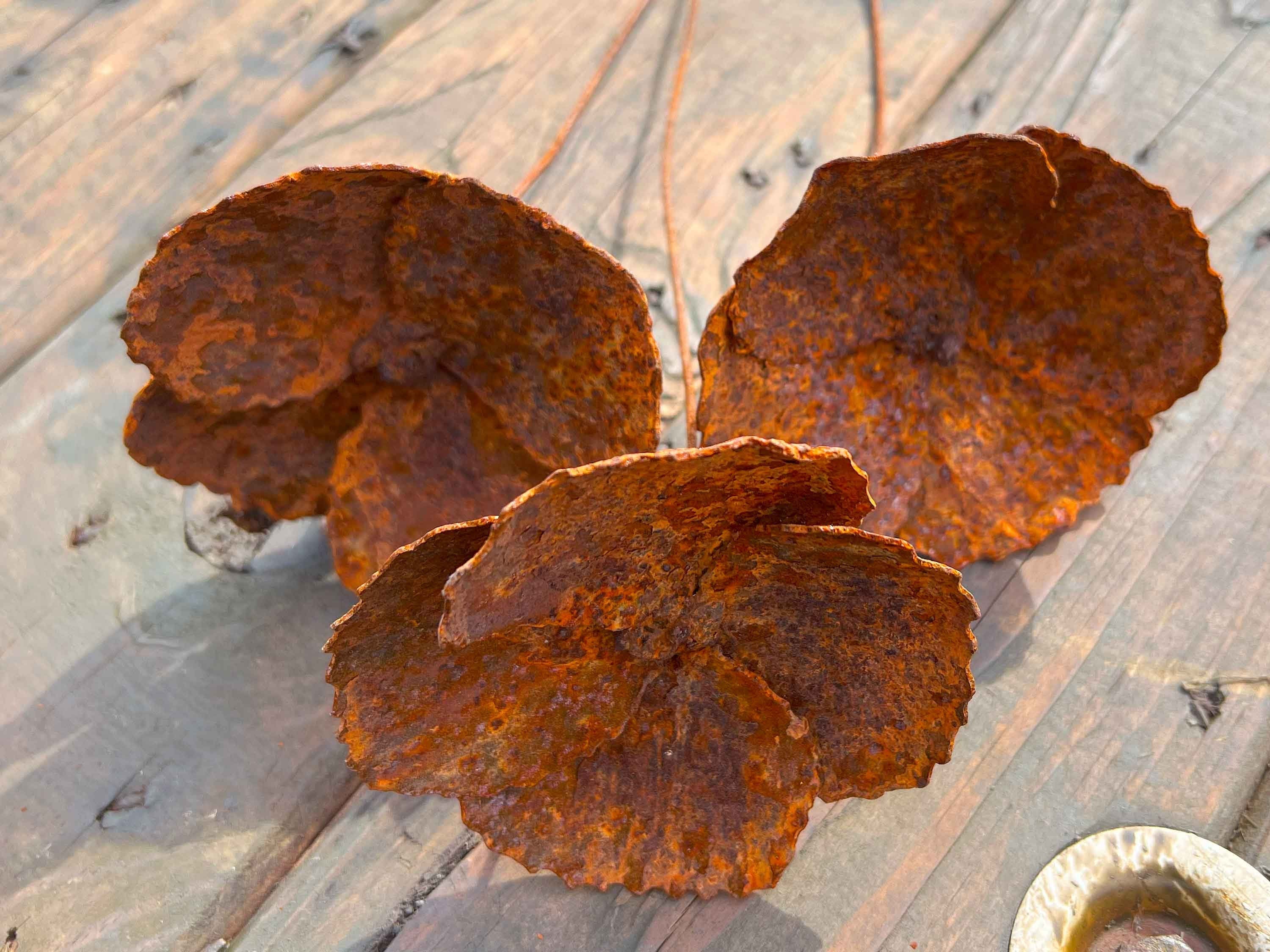 Rusty Iron Poppy Set: Handmade Industrial Floral Decor