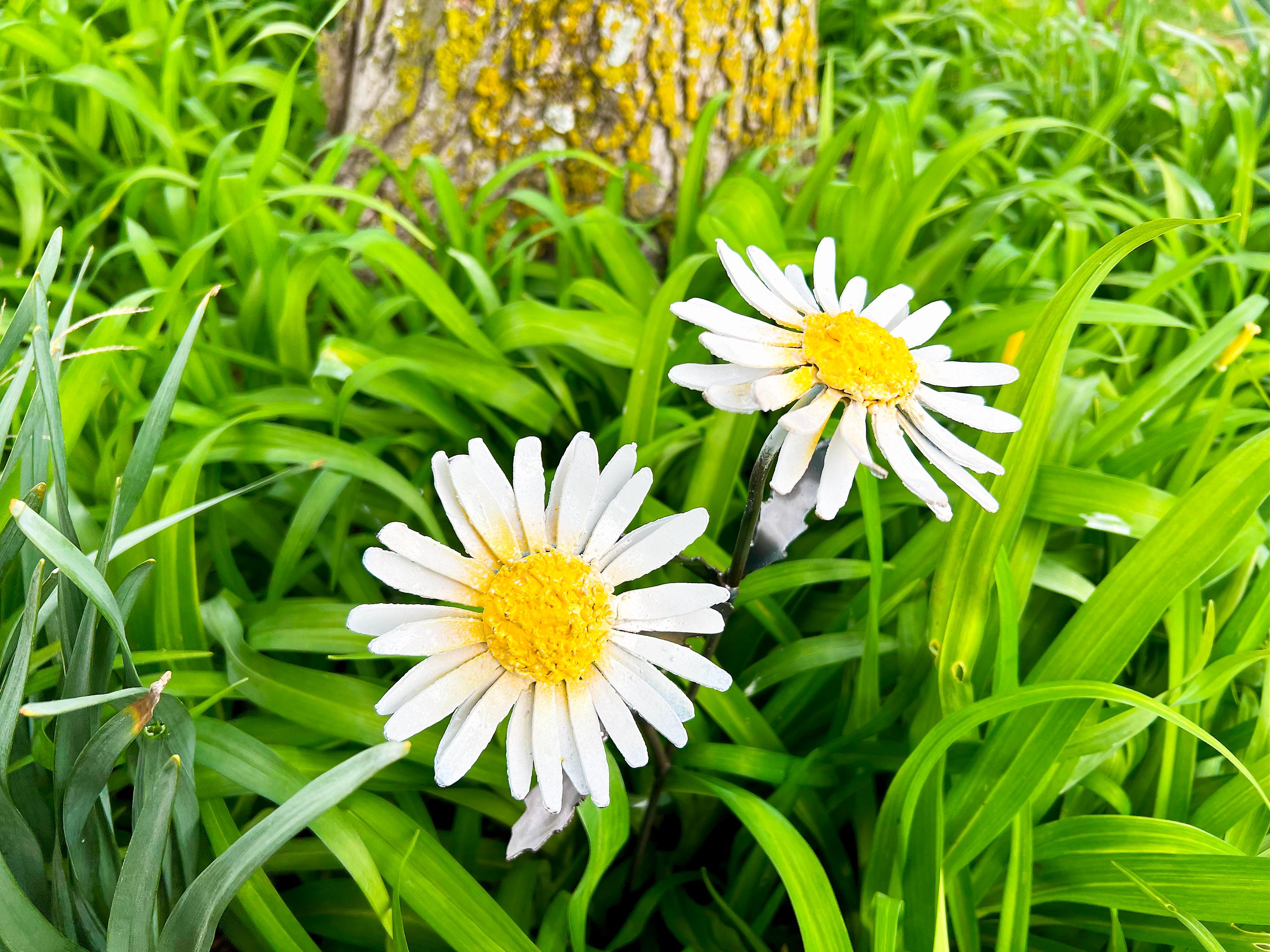 Handmade Metal Daisy Yard Flower: White & Yellow Garden Decor