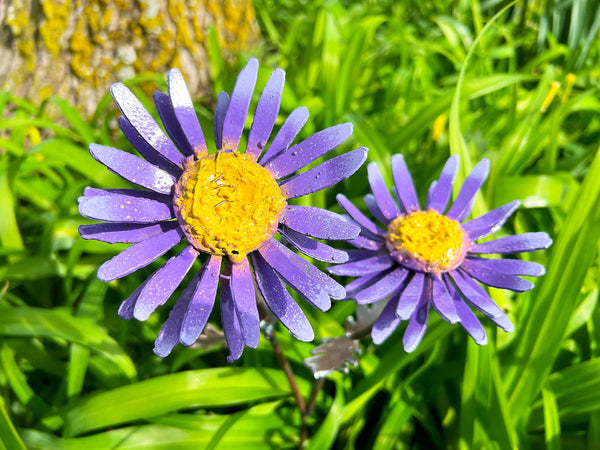 Handmade Metal Daisy Yard Art: Purple & Yellow Garden Decor