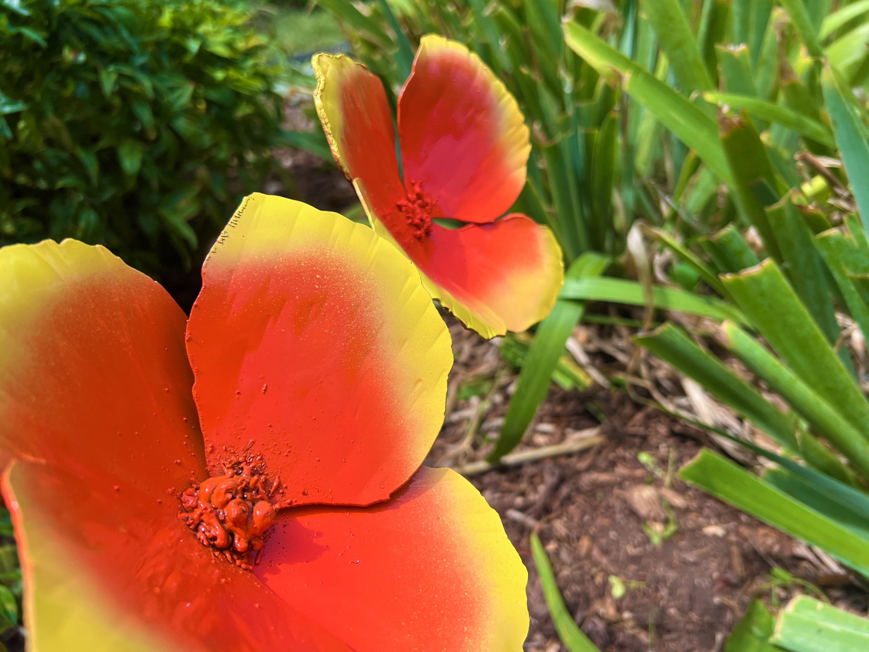 Handmade Metal California Poppy Set: Orange & Yellow Flower Garden Stakes