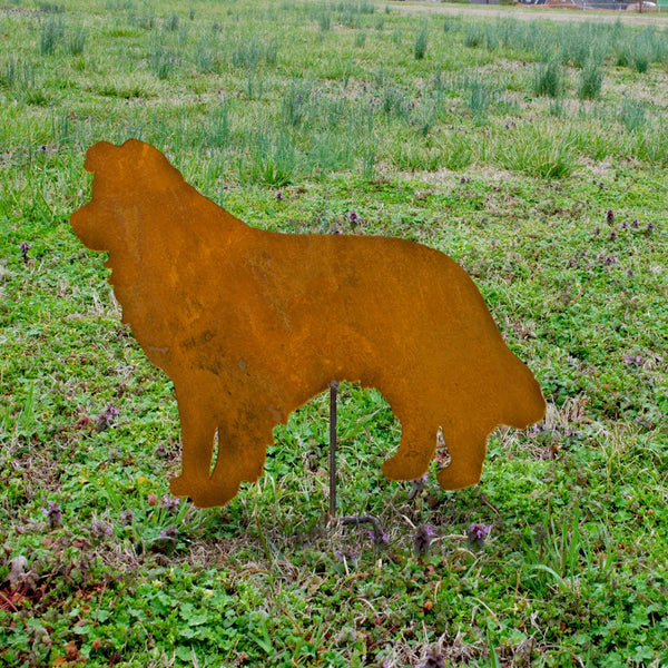 Rusty Metal Border Collie Garden Stake: Hand Cut Steel Flowerbed Art