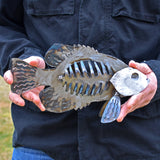 Crappie sculpture 12"