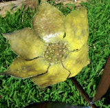 Angelina flower stake