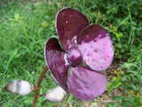 Clover flower stake